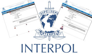 Interpol Farc