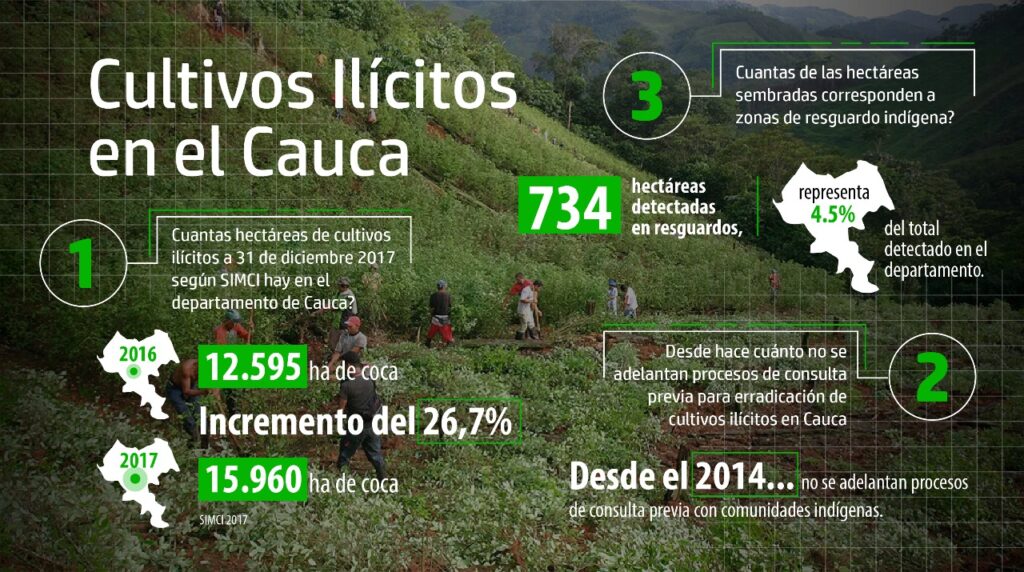 Inforgrafía de cultivos ilícitos en el Cauca