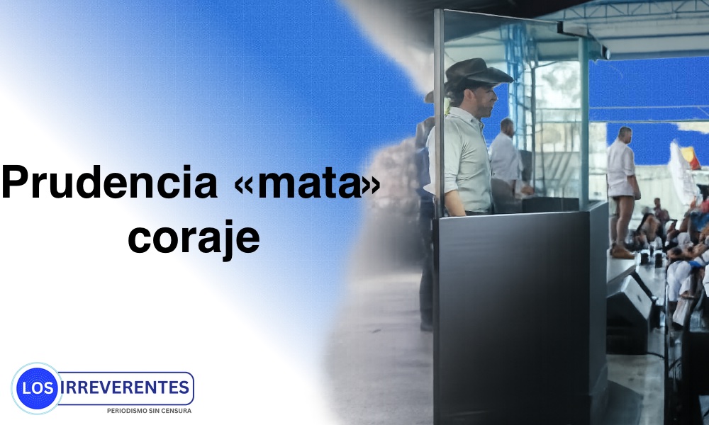 La cobardía, según Paloma